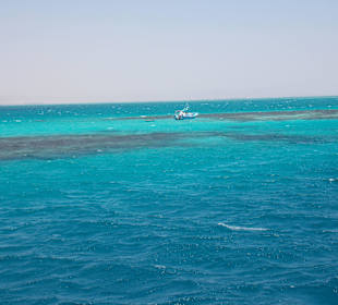 Auf dem offenen Meer, Delfintour, aber nie wieder.