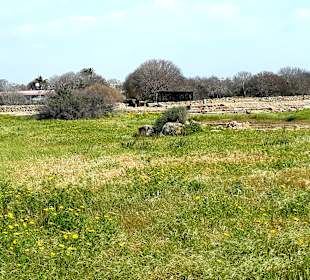 Archäologischer Park Kato Pafos