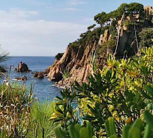 Strand Cala Giverola