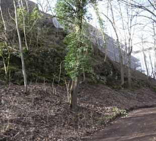 Burgruine Hohenwittlingen