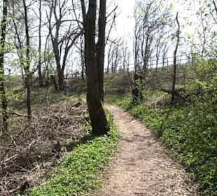 Wanderung Drei Seen/Drei Täler