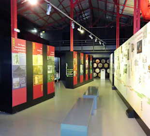 Rundgang durch das Museum La Saga du Rhum