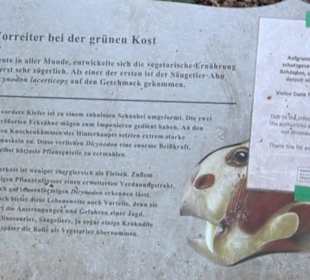 Dinosaurier Museum Altmühltal