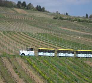 Am Denkmal am Niederwald