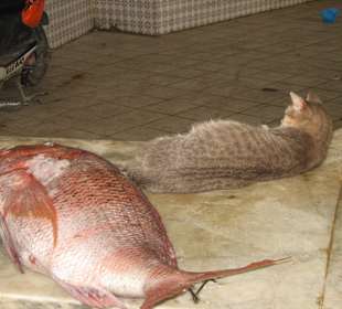 Ob sie wohl satt ist?