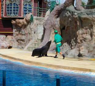 Peter Pan Show