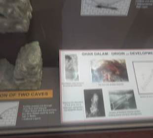 Ghar Dalam Cave & Museum
