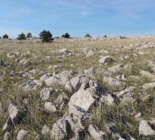 Wanderung von Baška hoch zum Mondplateau