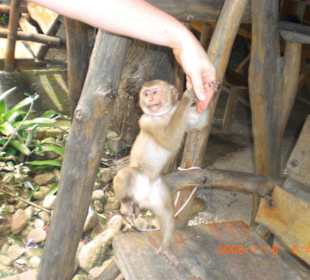 Der Kleine wollte nicht mehr loslassen