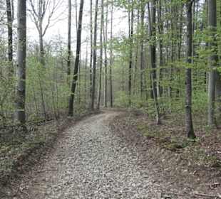 Wanderweg Firstwaldrunde