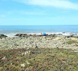 Stadtrundgang Punta del Este