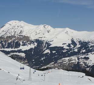 Berg-Panorama