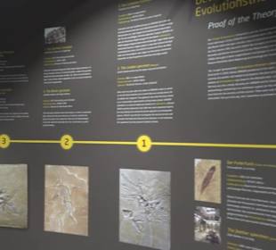 Dinosaurier Museum Altmühltal