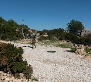 Seilbahn und Adlershow