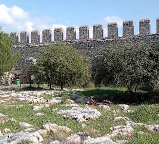 Castle of Kalesi