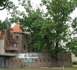 Wehrturm (Lukasklause) im Norden der Altstadt