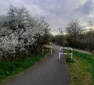 Radwanderweg Mühlpfad in Kusel