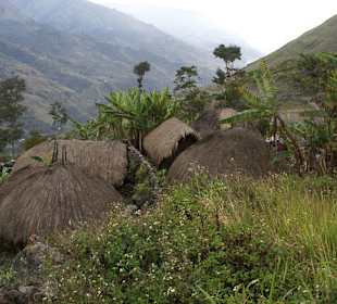 Wioska w dolinie Baliem