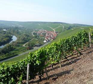 Blick auf Escherndorf