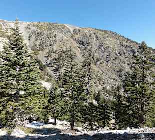 Виды с гор Сан-Габриэль