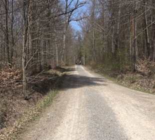 Waldkulturerbe Neuweiler Viehweide