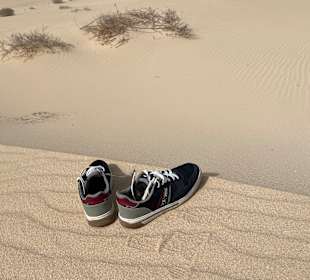 Naturpark Dünen von Corralejo