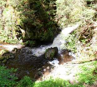 Blick in die Schlucht