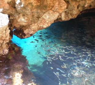 Bootstour Grotte blaues Auge