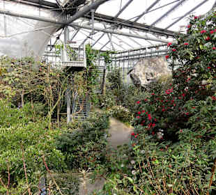 Impressionen aus den Gewächshäusern
