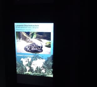 Tierpark Hellabrunn - Fische