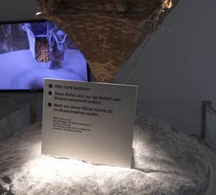 Mühle Tiefenbrunnen