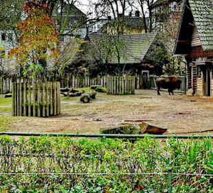 Zoologischer Garten Köln