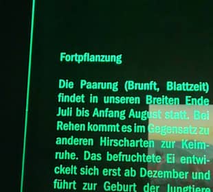 Jagdtier + Vogelkunde