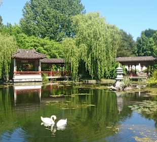 Chinesischer Garten