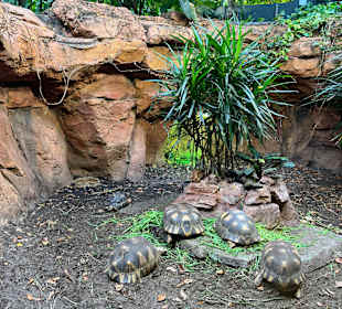Aquazoo Löbbecke Museum Düsseldorf