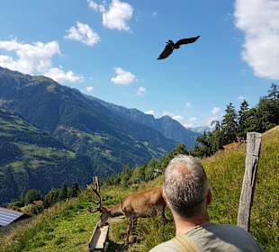 Wandergebiet Schennaberg