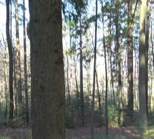 Wanderung Florianrunde