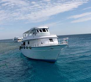 Das Schiff zur Tauchstelle