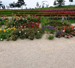 Rosengarten in Farben abgestimmt