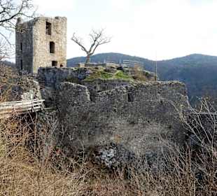 Blick auf den Wohnturm der Burgruine Neideck