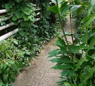 Botanischer Garten
