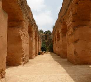 Truly staggering size