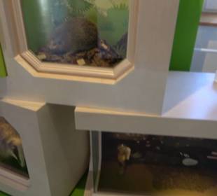 Museum für Naturkunde