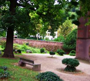 Der hintere schöne Bereich