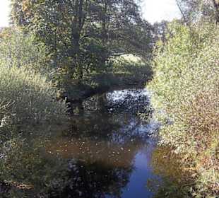 Die Leiser, Nebenfluß der Mosel