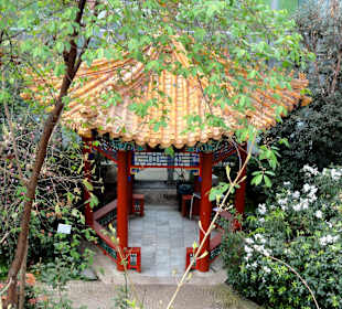 Der chinesische Tee-Tempel