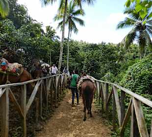 Ausritt zum Wasserfall Limon