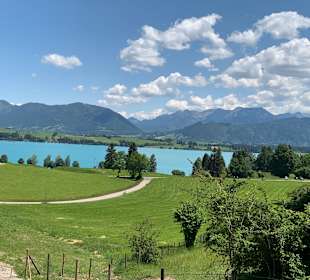 Forggensee