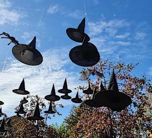 Bauer-Lipp Weiterstadt