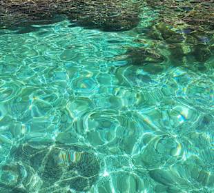 Inselrundfahrt Korfu